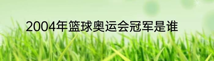 2004年篮球奥运会冠军是谁