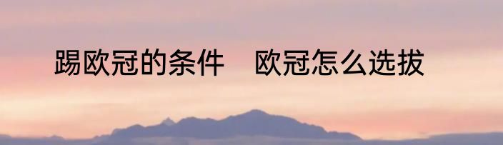 踢欧冠的条件　欧冠怎么选拔