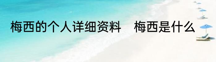 梅西的个人详细资料　梅西是什么