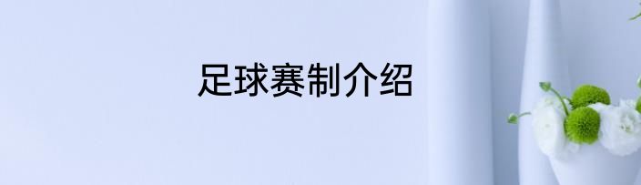 足球赛制介绍