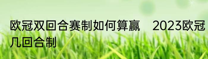 欧冠双回合赛制如何算赢　2023欧冠几回合制