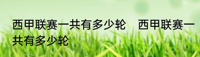 西甲联赛一共有多少轮　西甲联赛一共有多少轮