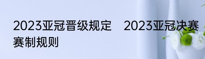 2023亚冠晋级规定　2023亚冠决赛赛制规则