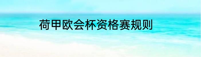 荷甲欧会杯资格赛规则