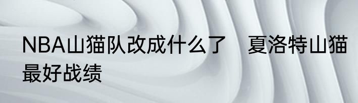 NBA山猫队改成什么了　夏洛特山猫最好战绩