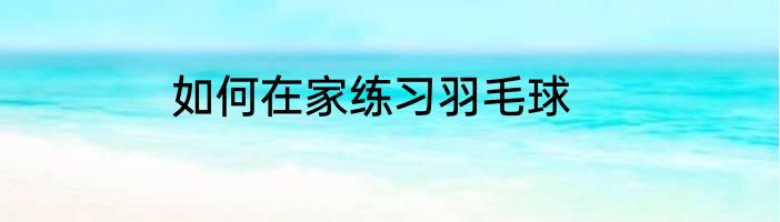如何在家练习羽毛球