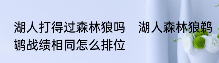 湖人打得过森林狼吗　湖人森林狼鹈鹕战绩相同怎么排位