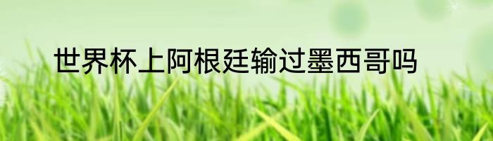 世界杯上阿根廷输过墨西哥吗