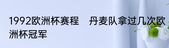 1992欧洲杯赛程　丹麦队拿过几次欧洲杯冠军
