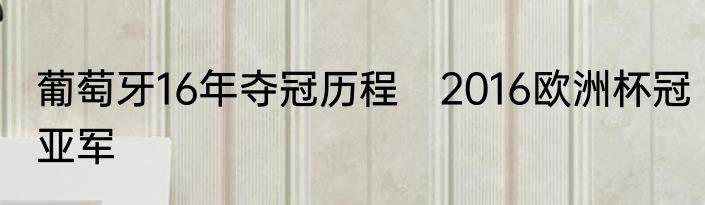 葡萄牙16年夺冠历程　2016欧洲杯冠亚军