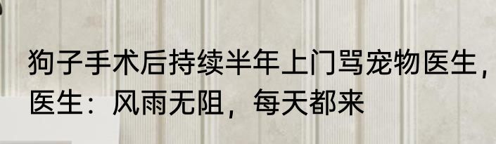 狗子手术后持续半年上门骂宠物医生，医生：风雨无阻，每天都来