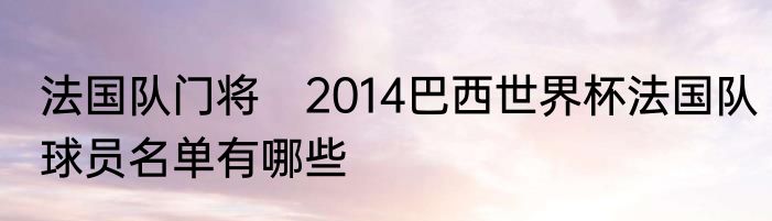 法国队门将　2014巴西世界杯法国队球员名单有哪些