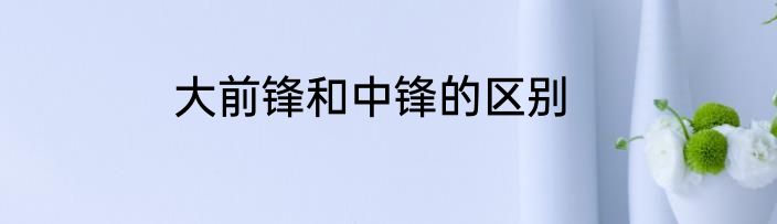 大前锋和中锋的区别