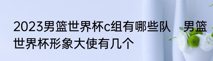 2023男篮世界杯c组有哪些队　男篮世界杯形象大使有几个