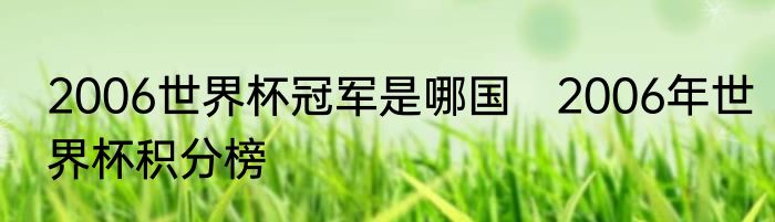 2006世界杯冠军是哪国　2006年世界杯积分榜