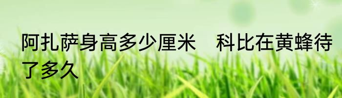 阿扎萨身高多少厘米　科比在黄蜂待了多久