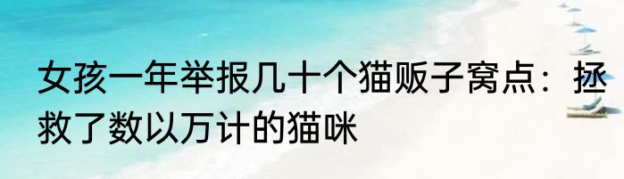 女孩一年举报几十个猫贩子窝点：拯救了数以万计的猫咪