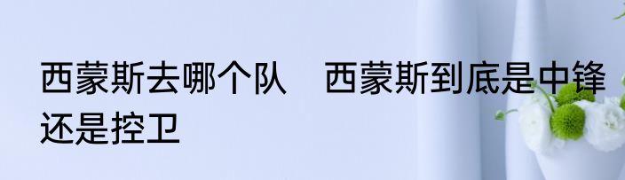 西蒙斯去哪个队　西蒙斯到底是中锋还是控卫