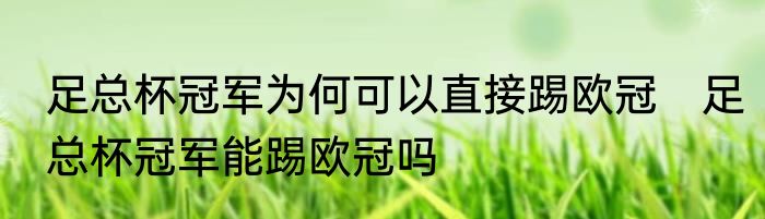 足总杯冠军为何可以直接踢欧冠　足总杯冠军能踢欧冠吗