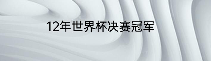 12年世界杯决赛冠军
