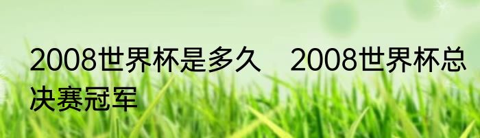 2008世界杯是多久　2008世界杯总决赛冠军