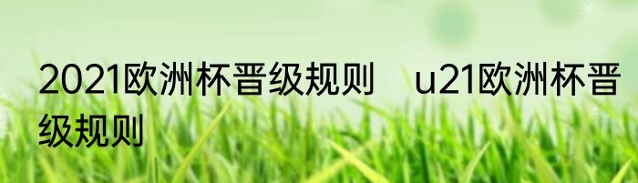 2021欧洲杯晋级规则　u21欧洲杯晋级规则
