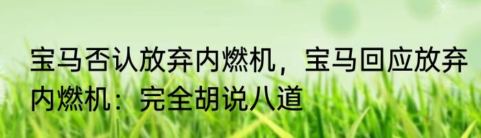 宝马否认放弃内燃机，宝马回应放弃内燃机：完全胡说八道