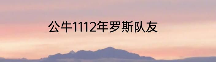 公牛1112年罗斯队友