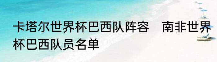 卡塔尔世界杯巴西队阵容　南非世界杯巴西队员名单