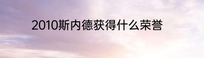2010斯内德获得什么荣誉