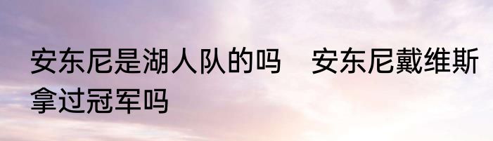 安东尼是湖人队的吗　安东尼戴维斯拿过冠军吗
