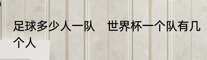 足球多少人一队　世界杯一个队有几个人