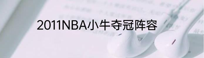 2011NBA小牛夺冠阵容