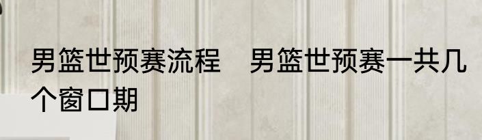 男篮世预赛流程　男篮世预赛一共几个窗口期