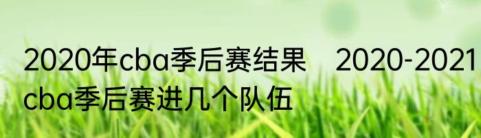 2020年cba季后赛结果　2020-2021cba季后赛进几个队伍