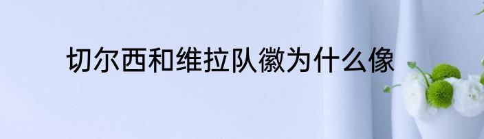 切尔西和维拉队徽为什么像