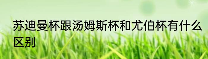 苏迪曼杯跟汤姆斯杯和尤伯杯有什么区别