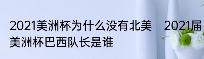 2021美洲杯为什么没有北美　2021届美洲杯巴西队长是谁