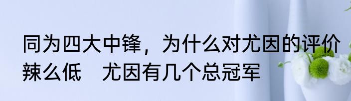 同为四大中锋，为什么对尤因的评价辣么低　尤因有几个总冠军