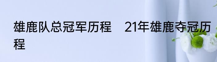 雄鹿队总冠军历程　21年雄鹿夺冠历程