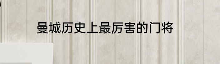 曼城历史上最厉害的门将