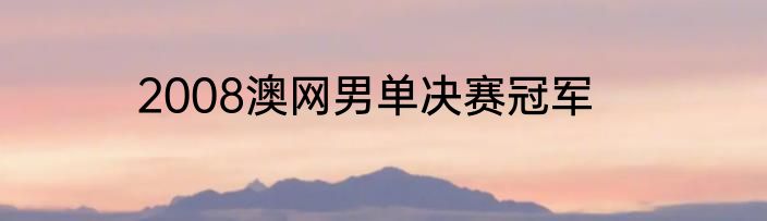 2008澳网男单决赛冠军