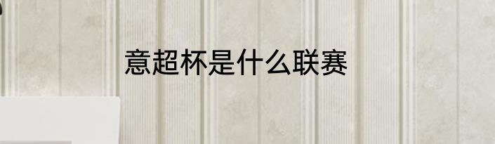 意超杯是什么联赛