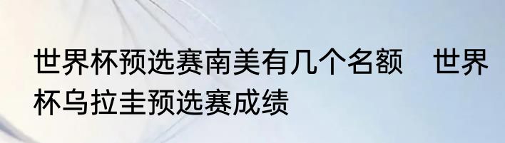 世界杯预选赛南美有几个名额　世界杯乌拉圭预选赛成绩