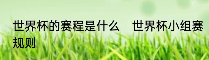 世界杯的赛程是什么　世界杯小组赛规则