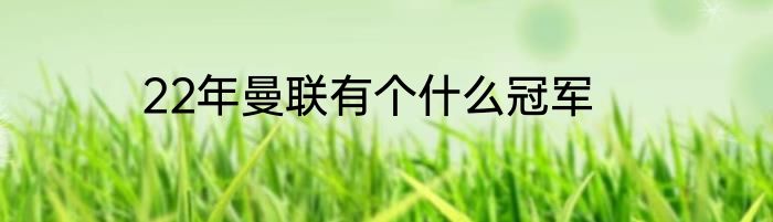 22年曼联有个什么冠军