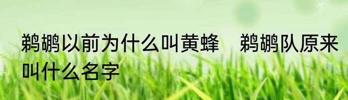 鹈鹕以前为什么叫黄蜂　鹈鹕队原来叫什么名字
