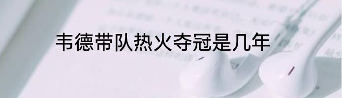 韦德带队热火夺冠是几年