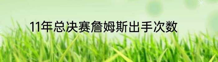 11年总决赛詹姆斯出手次数