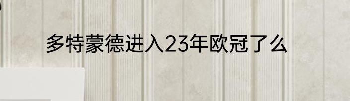 多特蒙德进入23年欧冠了么
